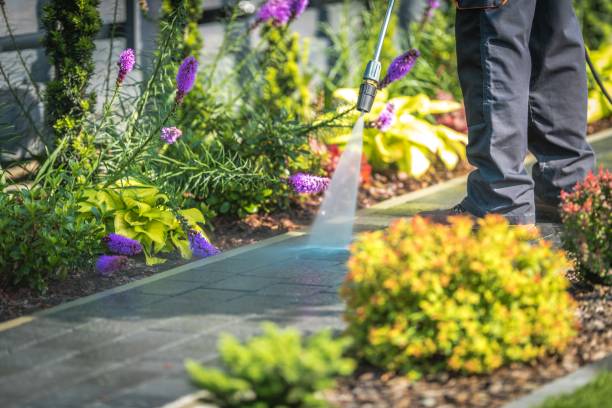 Reliable Pine Lawn, MO Pressure Washing Services Solutions