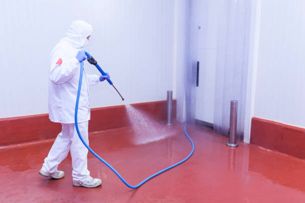 Best Oil Spill Cleanup  in Pine Lawn, MO